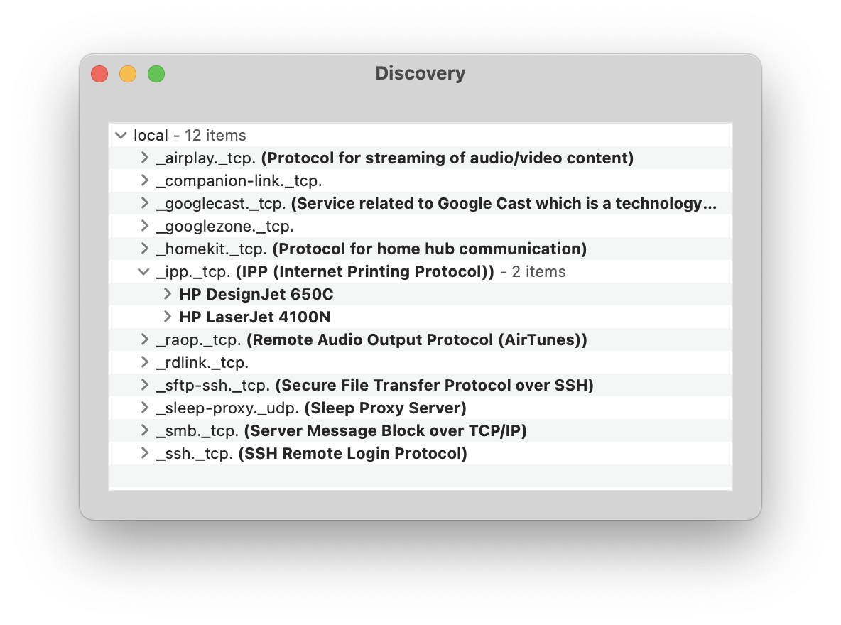 Discovery app showing mDNS services on my local network